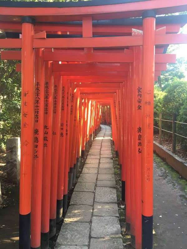 「千本鳥居」並非京都伏見稻荷大社的專利,日本其他各地的神社也有機會能看到,圖為東京的根津神社。(圖/陳毅龍攝) 「千本鳥居」並非京都伏見稻荷大社的專利,日本其他各地的神社也有機會能看到,圖為東京的根津神社。(圖/陳毅龍攝)