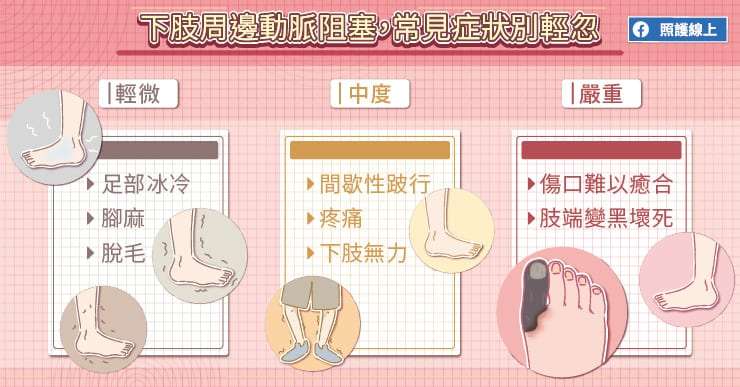 (圖/照護線上提供) (圖/照護線上提供)