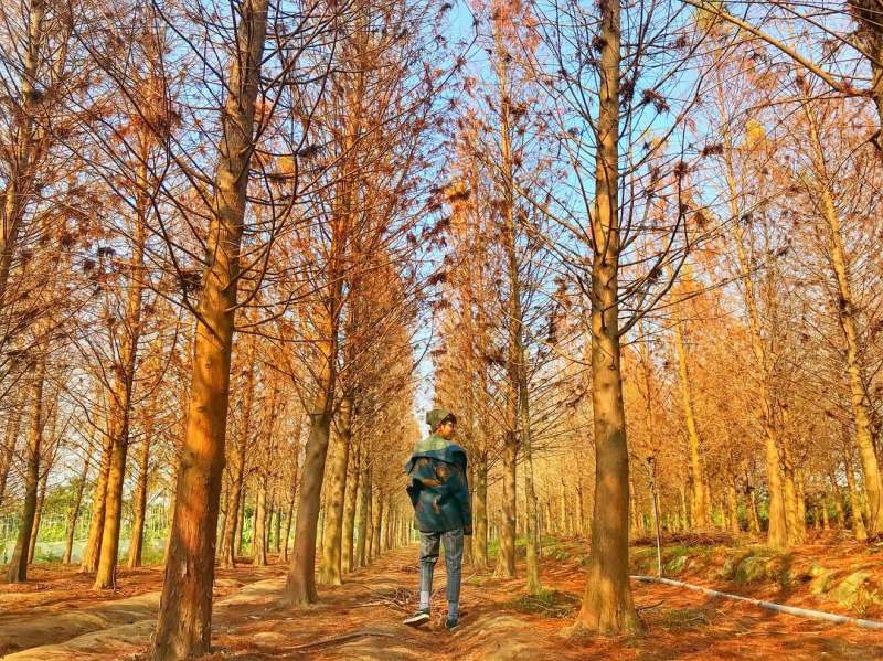 (圖/pohan1119@IG,ReadyGo 提供) (圖/pohan1119@IG,ReadyGo 提供)
