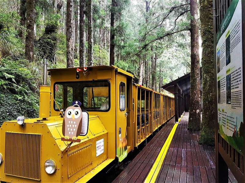(圖/太平山國家森林區粉絲專頁) (圖/太平山國家森林區粉絲專頁)