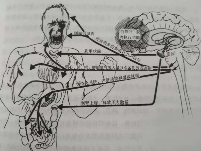 （圖／簡單心理提供）