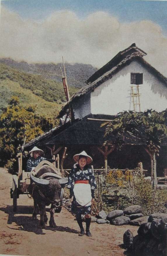 花蓮吉野村（取自維基百科）