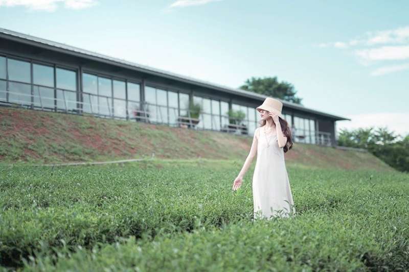 銅鑼必去景點推薦-銅鑼茶廠。 (圖/rachel.xinru, Instagram) 銅鑼必去景點推薦-銅鑼茶廠。 (圖/rachel.xinru, Instagram)
