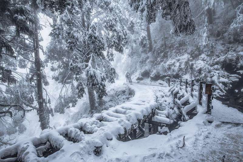 北部過年走春景點-宜蘭太平山。 (圖/sha7._, Instagram) 北部過年走春景點-宜蘭太平山。 (圖/sha7._, Instagram)