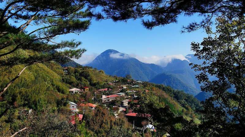 北部過年走春景點-新竹司馬庫斯。 （圖／Tripbaa趣吧！自由行專家）