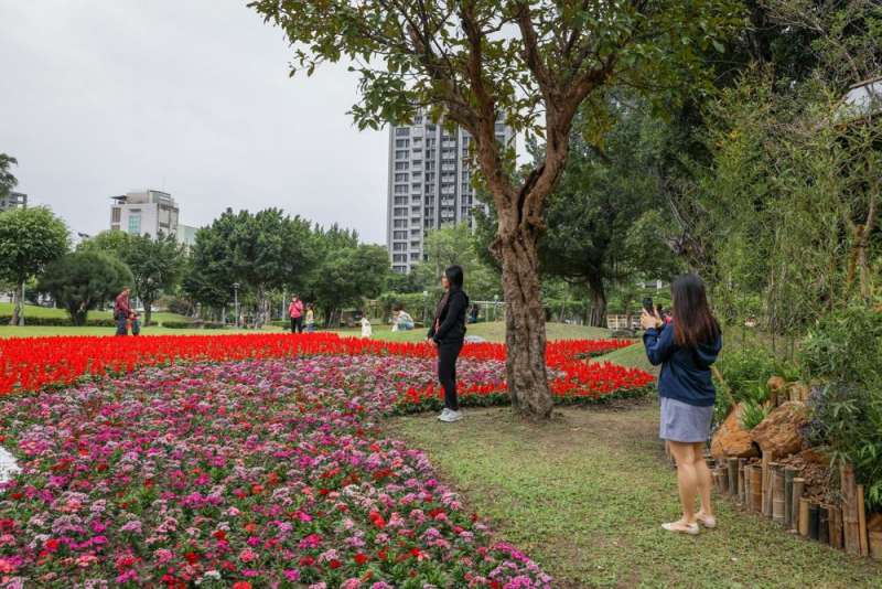 景觀競賽場地-由青年設計規劃設計之花海。(圖/新北市景觀處提供) 景觀競賽場地-由青年設計規劃設計之花海。(圖/新北市景觀處提供)
