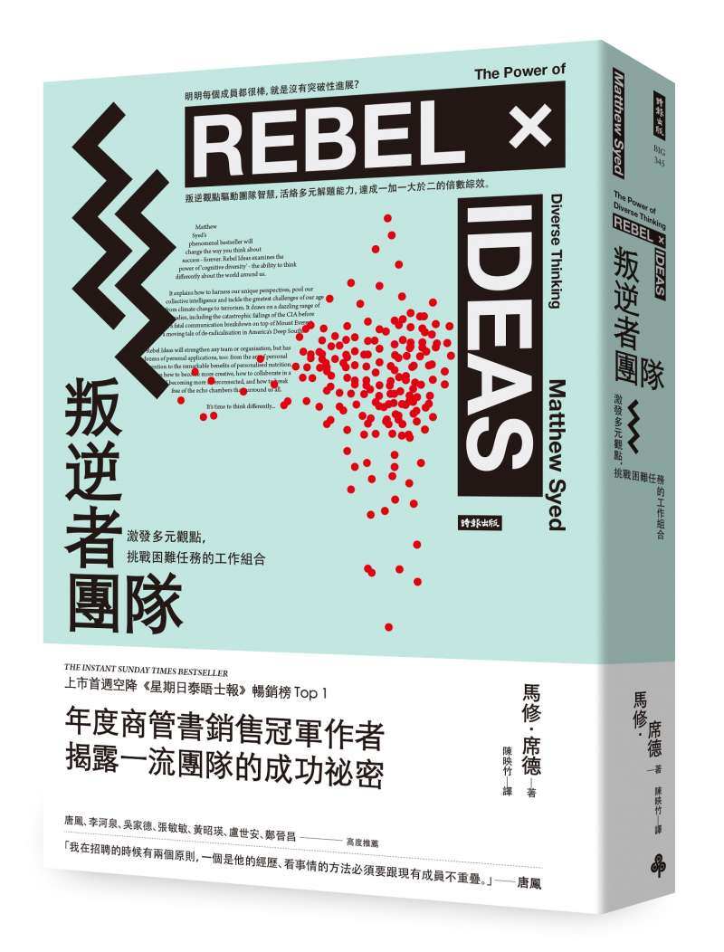 《叛逆者團隊：激發多元觀點，挑戰困難任務的工作組合》書封。（時報出版提供）