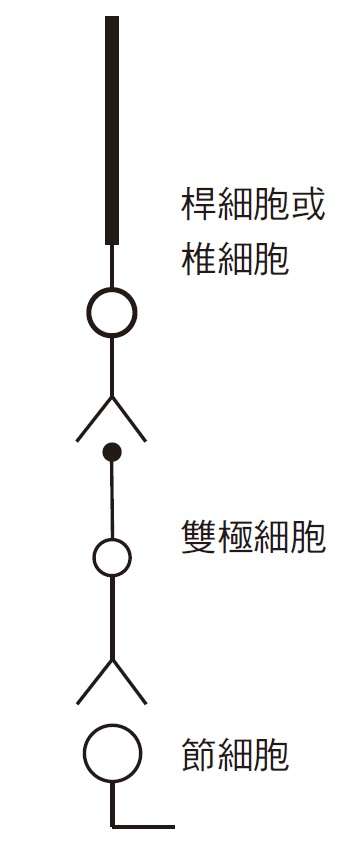 《眼見為憑》內文附圖－P.37（時報出版）