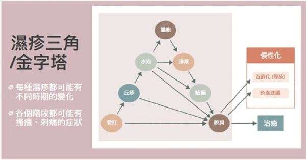  （圖／華人健康網提供）