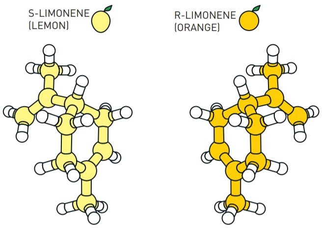 兩種互為鏡像的分子，左旋檸烯（S-Limonene）與右旋檸烯（R-Limonene）（瑞典皇家科學院）