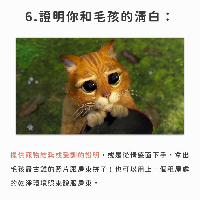 (圖片來源/租租通) (圖片來源/租租通)