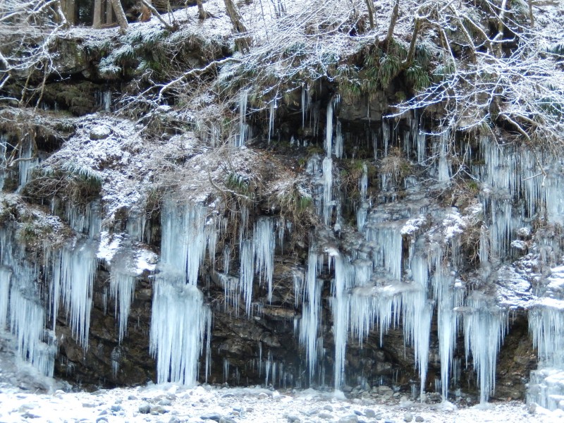 冰柱每年形狀都不一樣©秩父觀光協會大瀧支部