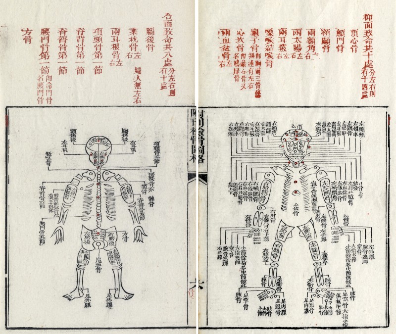 圖片為道光23年《補註洗寃録集證》書中內容,(宋)宋慈原著,(淸)阮其新補注。(圖/研之有物提供) 圖片為道光23年《補註洗寃録集證》書中內容,(宋)宋慈原著,(淸)阮其新補注。(圖/翻攝自Wikipedia)