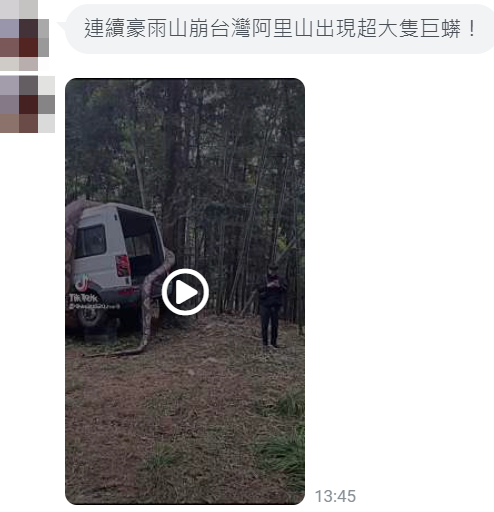 (圖/翻攝自TikTok) (圖/翻攝自TikTok)