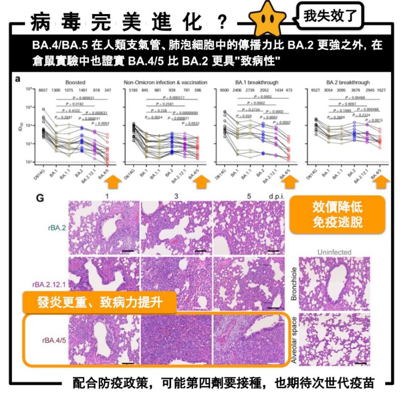 Omicron的 表妹 也要來了 Ba 4及ba 5衝擊與應變全解析 新新聞