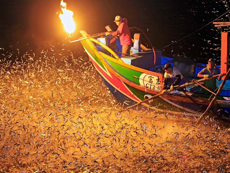 夏日河海趴(圖/取自新北市觀光旅遊網) 夏日河海趴(圖/取自新北市觀光旅遊網)