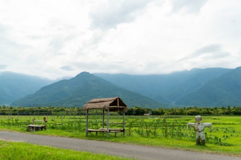 大農大富平地森林園區。（圖／欣傳媒提供）