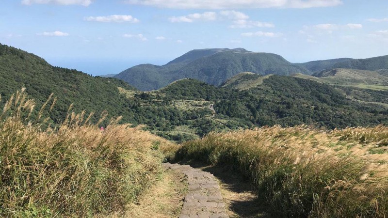 七星山步道(圖/翻攝自IG@yeahtraveltw) 七星山步道(圖/翻攝自IG@yeahtraveltw)