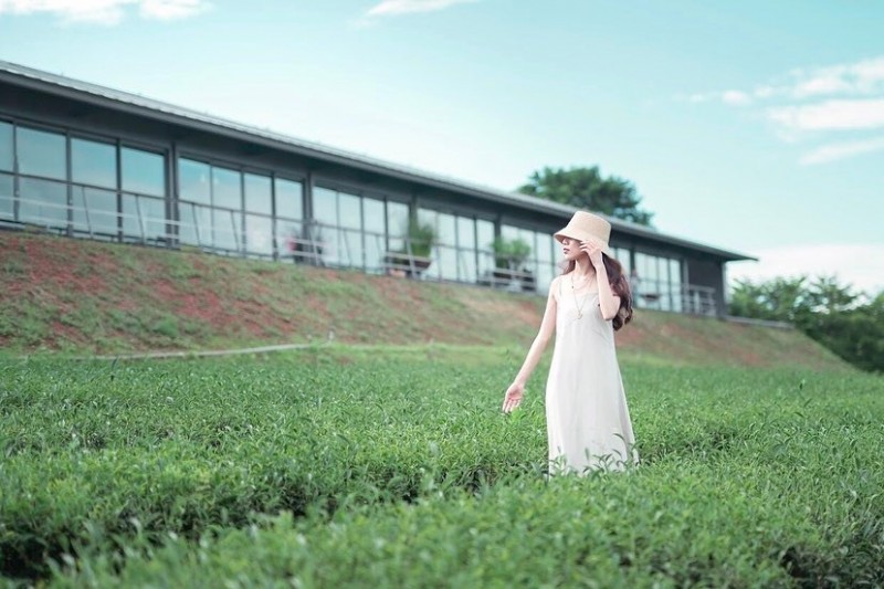 苗栗景點推薦-銅鑼茶廠。(圖/IG@rachel.xinru提供) 苗栗景點推薦-銅鑼茶廠。(圖/IG@rachel.xinru提供)