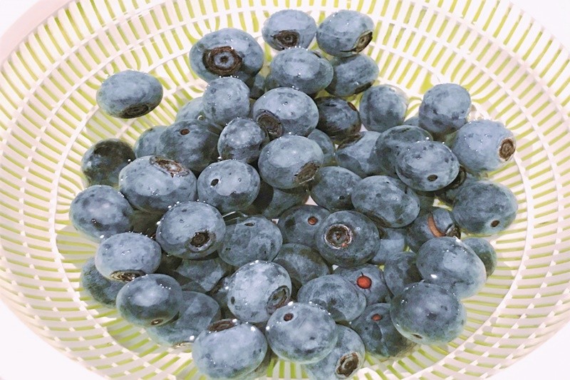 Blueberries. (Illustrative image / via PHOTOAC)