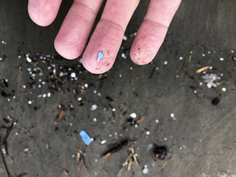 Microplastics. (AP)